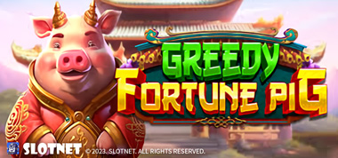 Greedy-Fortune-Pig
